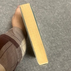 乾いて候 第七巻の画像