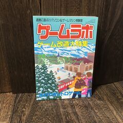 ゲームラボ 2000年2月号/ゲーム改造大特集/レジェンド・オブ・ドラグーン 【h251224023】の画像