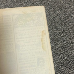 びっきの小鉄の画像