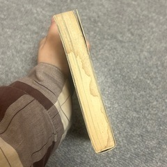 びっきの小鉄の画像