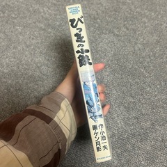 びっきの小鉄の画像