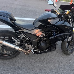 Z250 ER259C ニンジャの画像