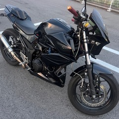Z250 ER259C ニンジャの画像