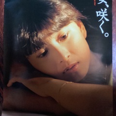 河合奈保子　非売品ポスター　4枚セットの画像