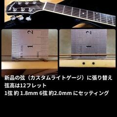 ★エレアコ★Sepia Crew EAW-180/BKS★小振りで弾きやすい♪の画像