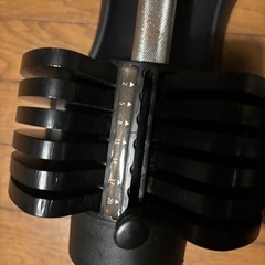 可変式ダンベル20キロ✖️2の画像