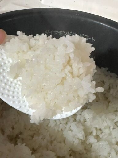 食品 Bao 10 kg