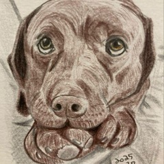 人物・ペットの似顔絵描きます｜手描き・やさしい雰囲気の画像