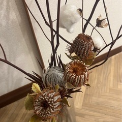 わたの木、ドライフラワーの画像