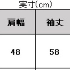 PUMA セットアップ　Mサイズの画像