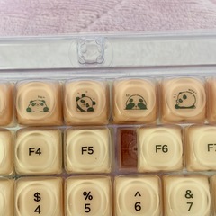 【人気商品】MOAキーキャップ【美品】の画像