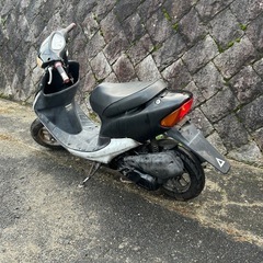 ホンダ　ライブディオ　af34の画像