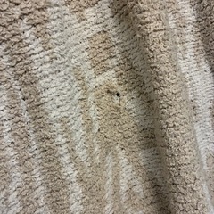 カシウェア　ブランケット　kashwere ダマスクの画像