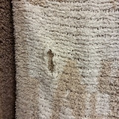 カシウェア　ブランケット　kashwere ダマスクの画像