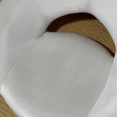 座椅子　肌触りの良い生地　モコモコの画像