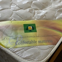 ダブルベット の画像