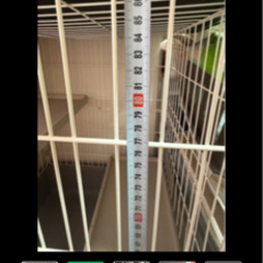 猫のケ-ジの画像