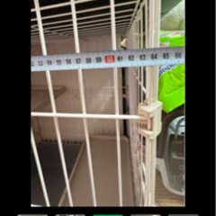 猫のケ-ジの画像