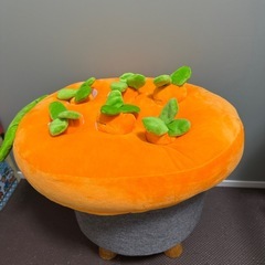 にんじん畑の画像