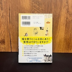 猫を飼うのをすすめない11の理由の画像