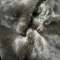 オンワードハーフコートLの画像