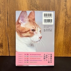 ねこ撮。うちのにゃんこをもっと可愛く撮る方法の画像