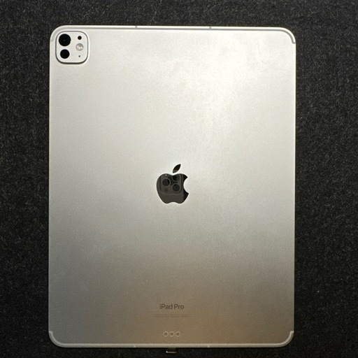 Apple iPad Pro シルバー 本体1TB セルラー M4 13インチ (みっちー太郎