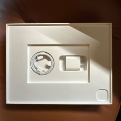 Apple iPad Pro シルバー 本体　1TB セルラー M4 13インチの画像