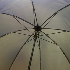 (穴あり)中日ドラゴンズ公式 ドーム型 傘 ドアラの画像