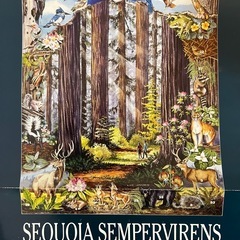 未使用　海外パズルの画像