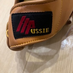 グローブ※破れあり（2枚目、3枚目写真）の画像