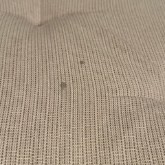 IKEA TERJE(テリエ) 折りたたみ椅子　の画像