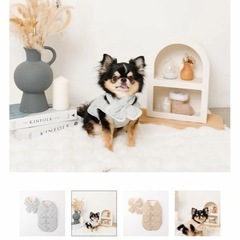 【未使用】小型犬用 洋服 
Sサイズ（冬用）の画像