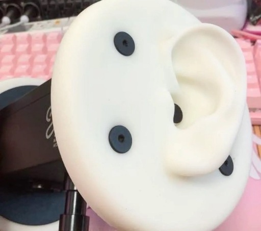 早い者勝ち大特価】バイノーラルマイクセット 耳型デザイン ASMR (ばと