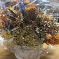 ドライフラワーの花籠の画像