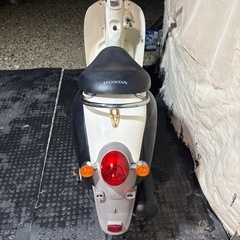 HONDA クレアスクーピー　AF55 実働　　4サイクル　激安　大人気車種　お洒落の画像