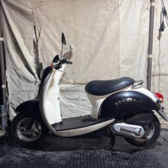 HONDA クレアスクーピー　AF55 実働　　4サイクル　激安　大人気車種　お洒落の画像