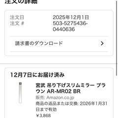 吊り下げスリムミラーの画像