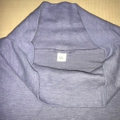 【無料】ハイネックシャツLLの画像