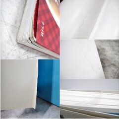 猫好き必見　猫の手づくりごはん　健康管理　本　セット　レシピ本　飼育　健康維持　ネコ　ねこに転生したおじさん2巻　709ZSの画像