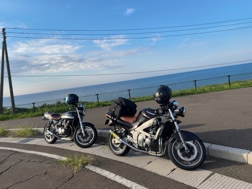 ZZR400 N型 ネイキッド仕様 RPM 【公式通販】