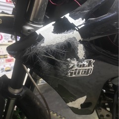 dトラッカー250の画像