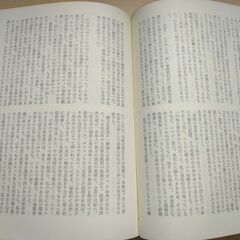 『悲の器』高橋和巳　河出ペーパーバックスの画像