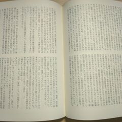 『悲の器』高橋和巳　河出ペーパーバックスの画像