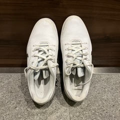NIKE ナイキゴルフシューズ24cm (引越し中！) 浜松のゴルフの中古