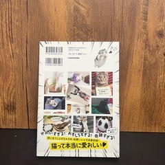 バズにゃんの画像