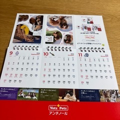 卓上カレンダー　2026の画像