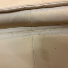 三人掛けソファの画像