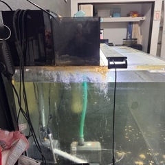 幅120センチ×奥行75センチ水槽セットの画像