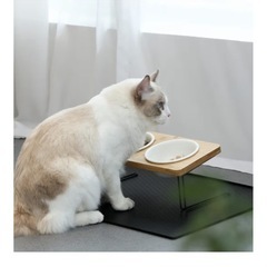 ペット用  犬、猫用の食器の画像